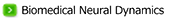biomedical_neural_dynamics
